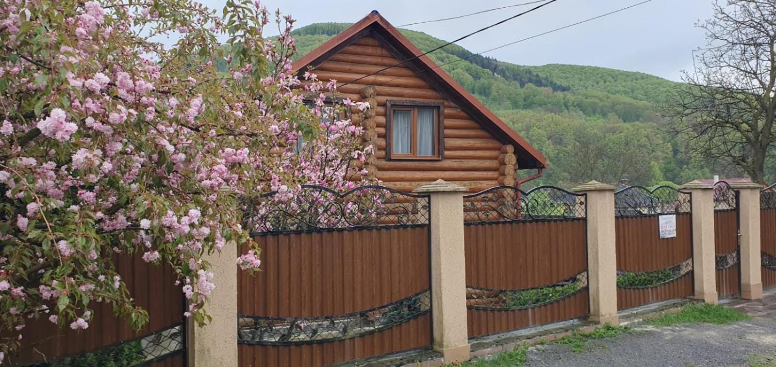 Smerekovyi Dvir Poljana Exteriér fotografie